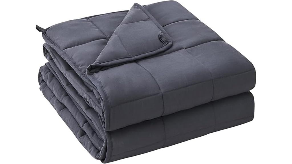 20 lb queen blanket
