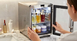 7 Best Luxury Skincare and Drinks Mini Fridge in 2026