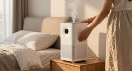 8 Best Luxury Air Purifier and Humidifier Combo in 2026