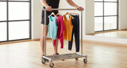 9 Best Best Premium Rolling Garment Rack in 2026