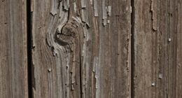 texture emphasizes visual interest